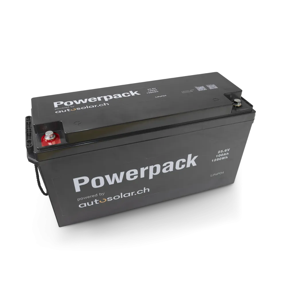Batterie au lithium (LiFePO4) 100 Ah 24 V, idéale pour les camping-cars et les installations solaires