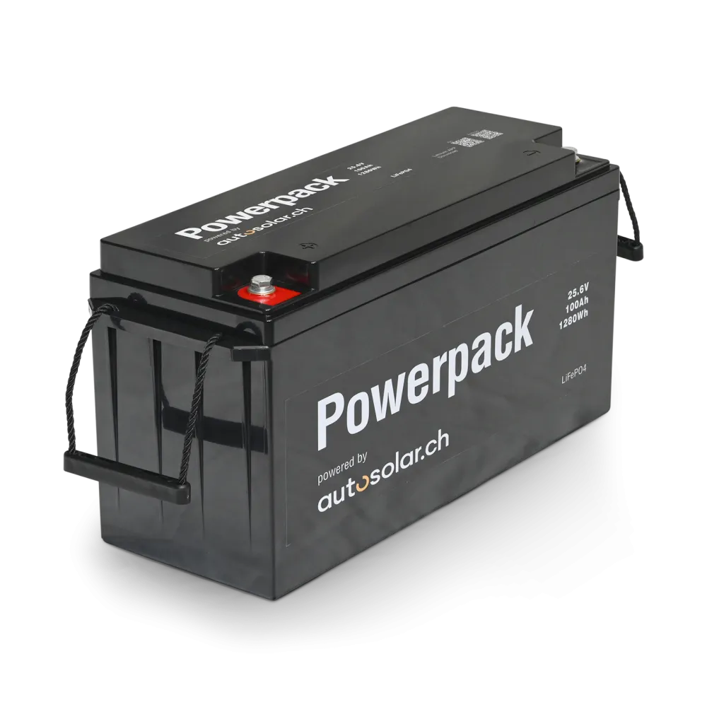 Batterie au lithium (LiFePO4) 100 Ah 24 V, idéale pour les camping-cars et les installations solaires