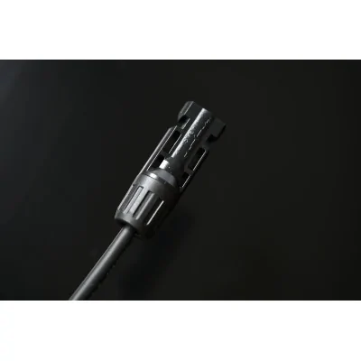 Panneau solaire AutoSolar 200 watts aspect bois