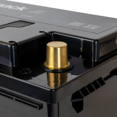 Batterie au lithium (LiFePO4) 100 Ah 12 V idéale pour les camping-cars et les systèmes solaires