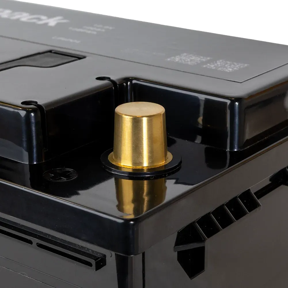 Batterie au lithium (LiFePO4) 100 Ah 12 V idéale pour les camping-cars et les systèmes solaires