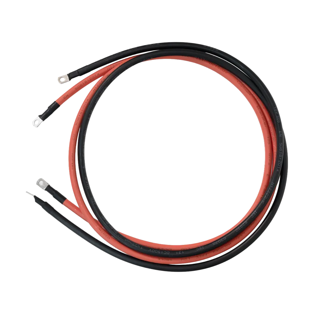 Câble de connexion 25 mm² 2 m avec cosses à anneau