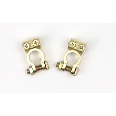 Ensemble de bornes de batterie positive/négative avec vis