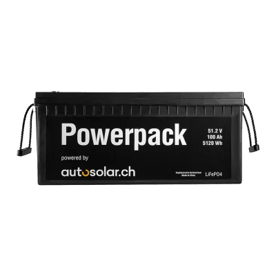 Batterie au lithium 100 Ah 48 V - Batterie solaire LiFePO4 - résistante au froid jusqu'à -40 °C