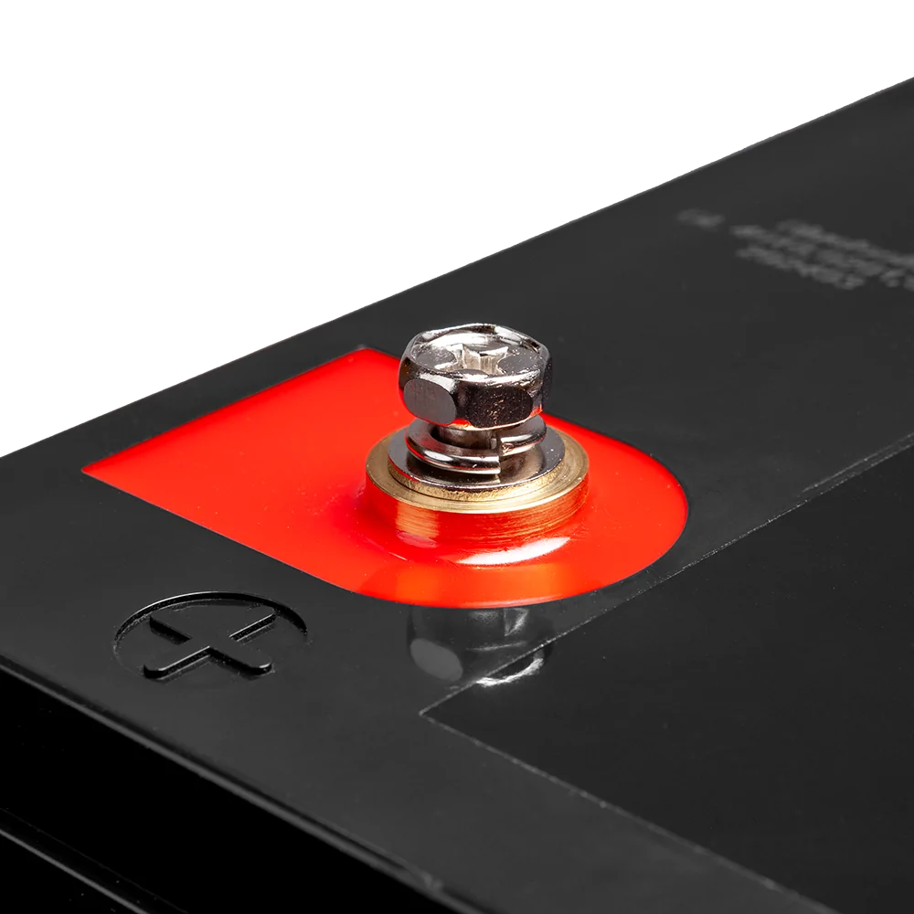 Lithium-Batterie (LiFePO4) 100Ah 24V ideal für Wohnmobil und Solar