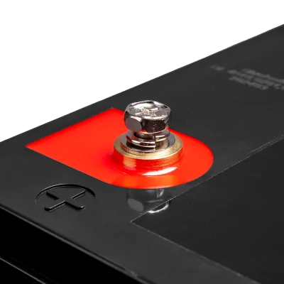 Lithiumbatterie (LiFePO4) 100Ah 24V ideal für Wohnmobil & Solaranlagen