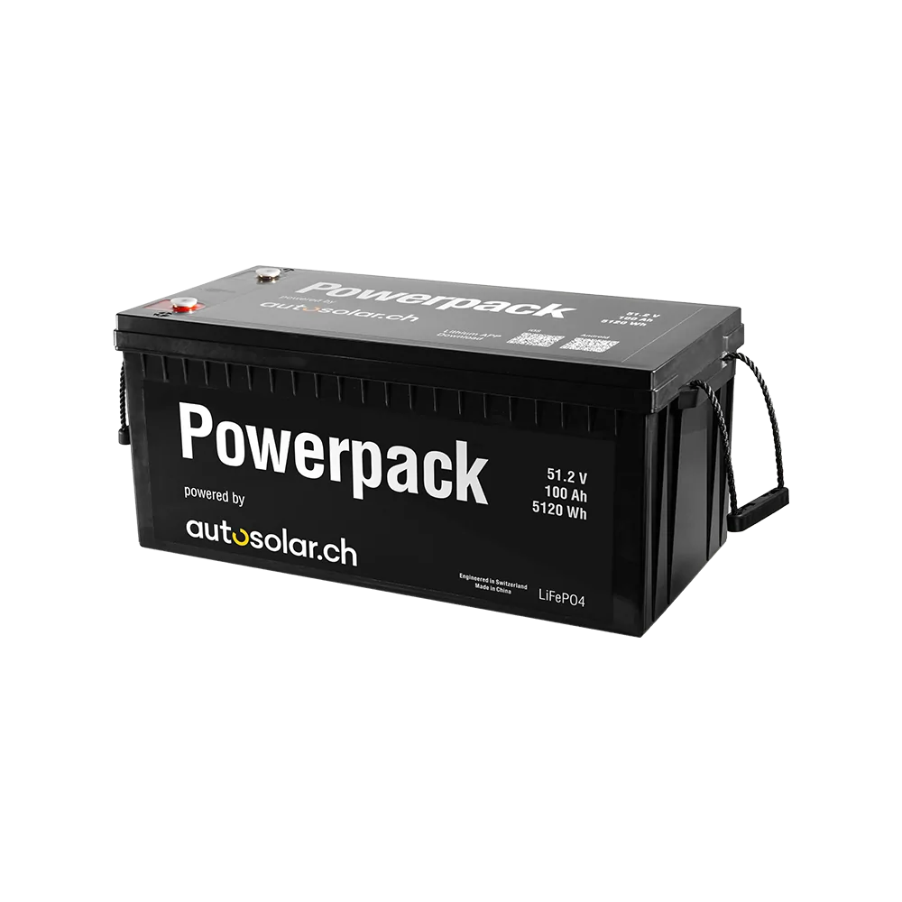 Batterie au lithium (LiFePO4) 100 Ah 48 V, idéale pour les camping-cars et les installations solaires