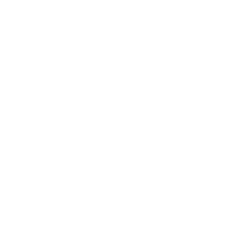 Bern Kantonspolizei